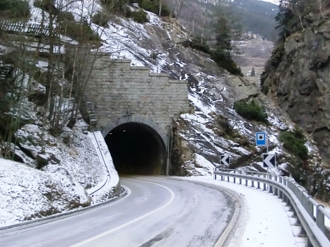 Dazio Grande Tunnel western portal
