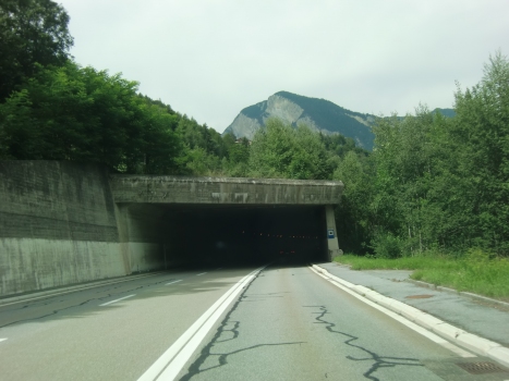 Tunnel La Douay I