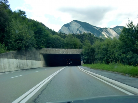 Tunnel de La Douay I