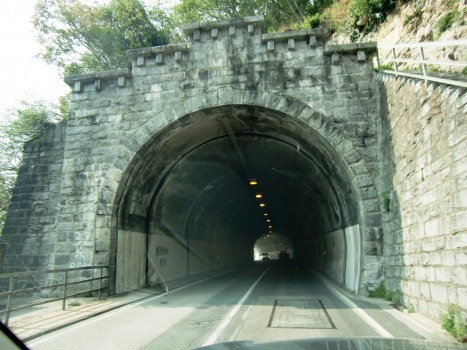 Gandria III Tunnel eastern portal
