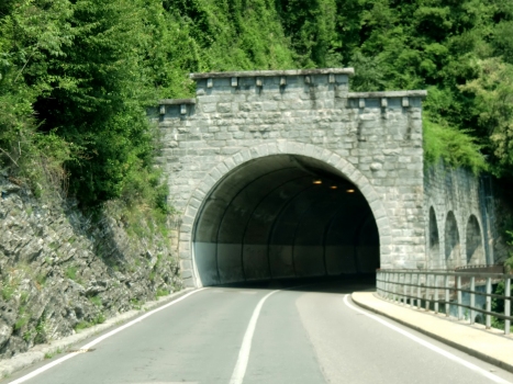 Gandria III Tunnel western portal