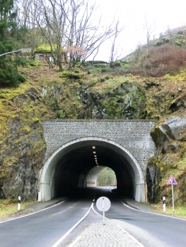 Sebes Tunnel eastern portal