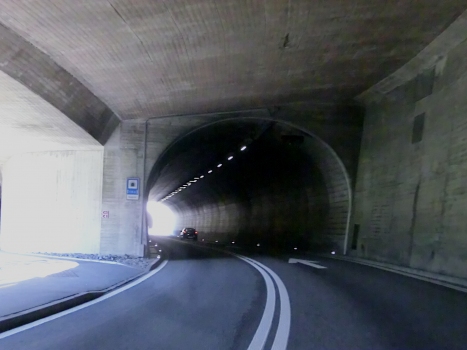 Buggital Tunnel natural part southern portal
