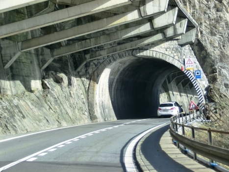 Dorni Tunnel northern portal