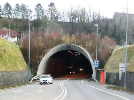 Festung Tunnel northern portal