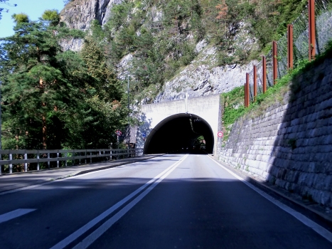 Kleine Galerie Tunnel southern portal