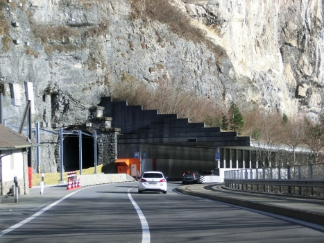 Oelberg railway and road Tunnel northern portals