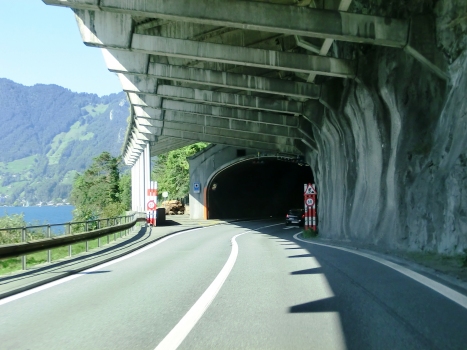 Ölberg Tunnel southern portal