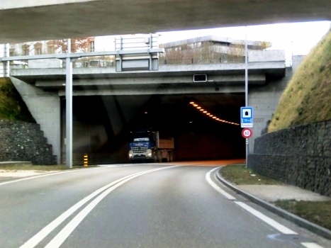 Paradiesli Tunnel northern portal