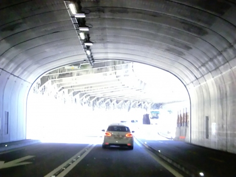 Tunnel de Schiefernegg