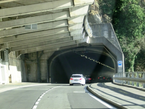Schiefernegg Tunnel northern portal