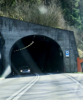 Stutzegg Tunnel northern portal