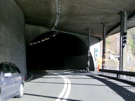 Axen-Zingel Tunnel, Zingel northern portal
