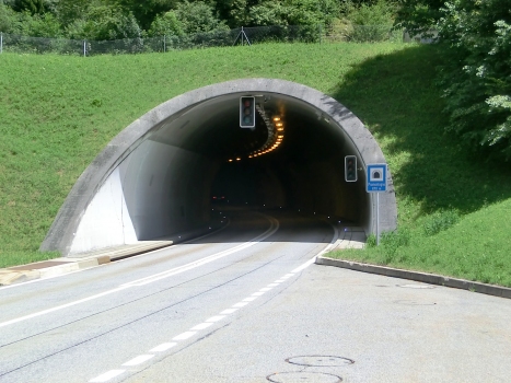 Tunnel Promontogno