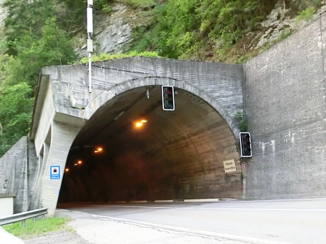Passmal road Tunnel western portal