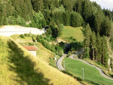 Alvaschein road and railway Tunnel western portals
