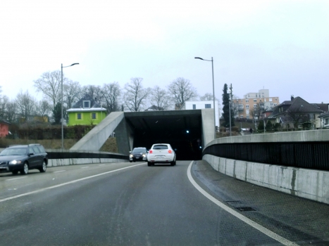 Tunnel Hausmatt