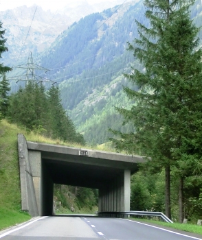 Bättelbalm Tunnel southern portal