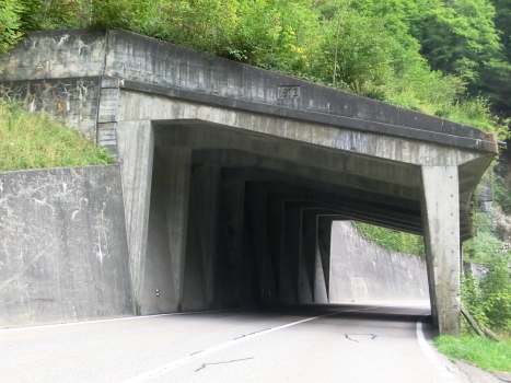 Schlagbachli Tunnel northern portal