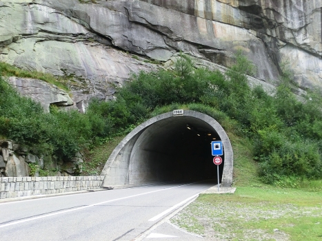 Stock Tunnel northern portal