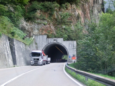 Tonende Fluh Tunnel western portal