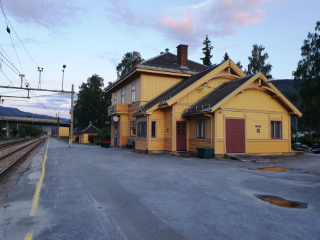 Nesbyen Station