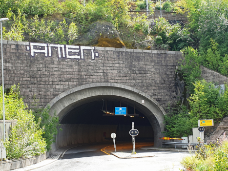 Tunnel de Grønli