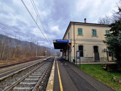 Ostia Parmense Station