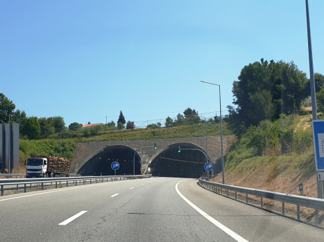 Tunnel de Arcozelo