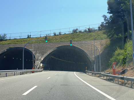 Tunnel de Arcozelo