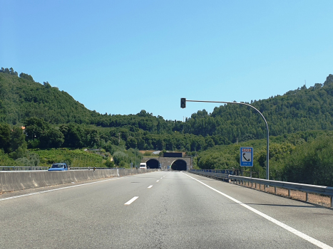 Tunnel de Portela