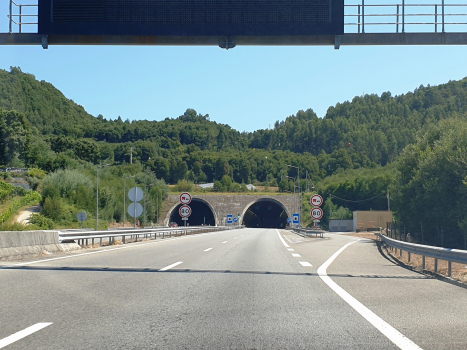 Portela Tunnel