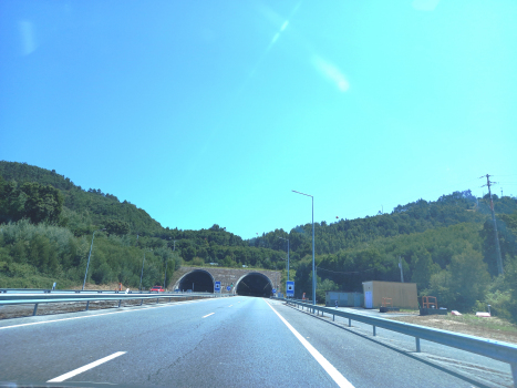 Tunnel de Portela