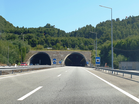 Portela Tunnel