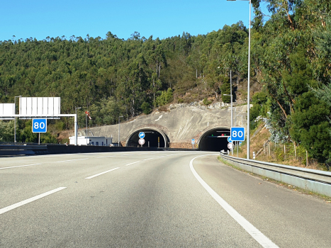 Covelo Tunnel