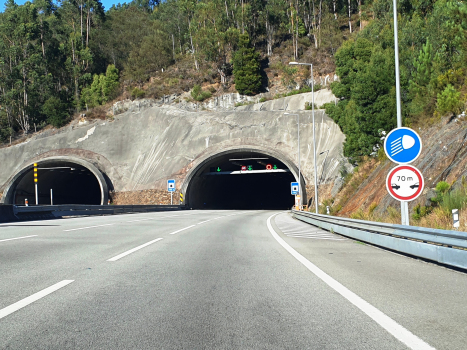 Covelo Tunnel