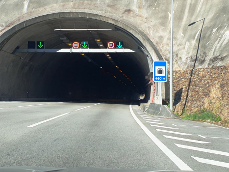 Covelo Tunnel