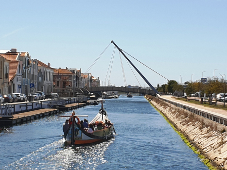 Circular Footbridge