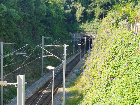 Caminha Tunnel