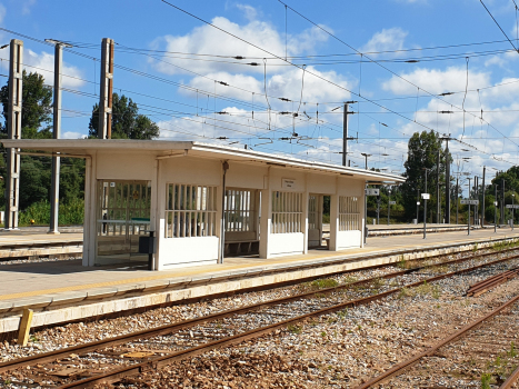 Granja do Ulmeiro-Alfarelos Station