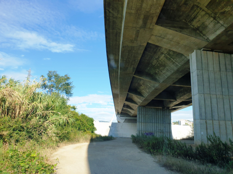 Rainha Santa Isabel Bridge