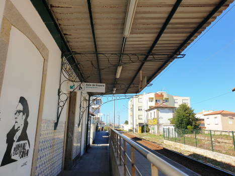 Moledo do Minho Station