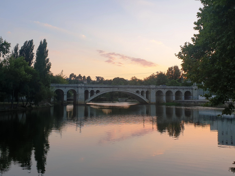 Pont Engenheiro Barbosa Carmona