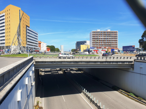 Tunnel de Eucalipto