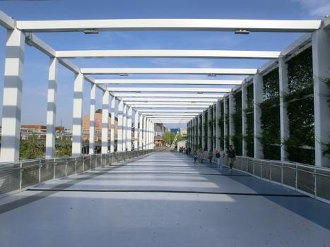 Expo-Fiera Footbridge (PEF)