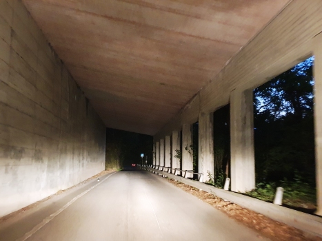 Tunnel de Sonvico I
