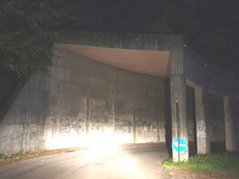 Sonvico I Tunnel western portal