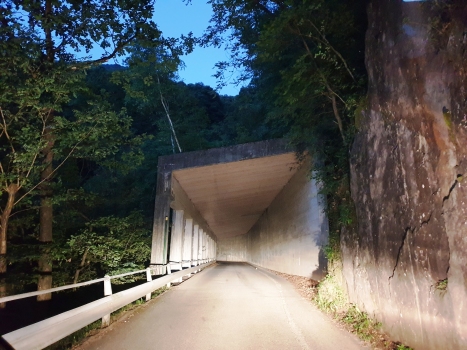 Sonvico I Tunnel eastern portal