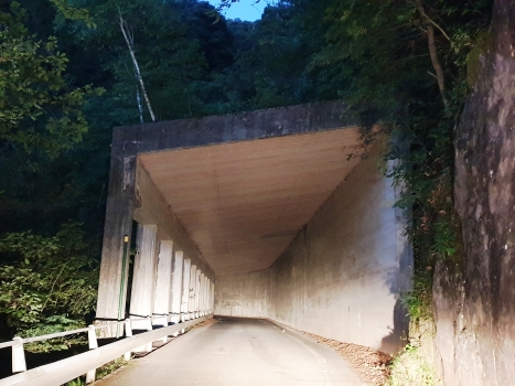 Tunnel Sonvico I