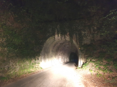 Sonvico II Tunnel northern portal